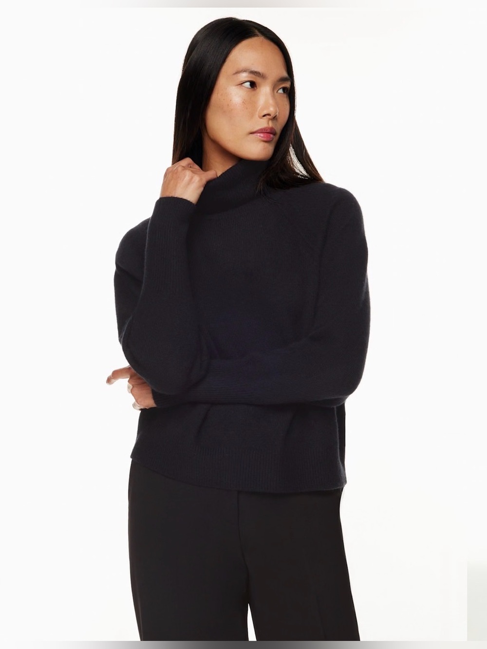 The Group Babaton 100% Cashmere Black Turtleneck Sweater XS